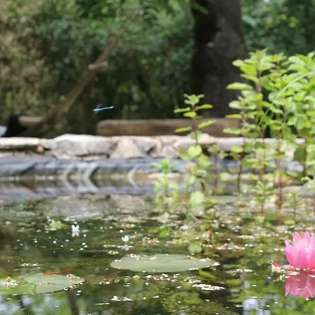 Le Refuge Aux Etoiles Saint-Antonin-Noble-Val